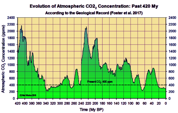 CO2 levels 420 million years